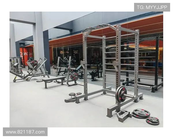 赛玛健身器材的品牌特色与用户评价 赛玛健身器材的品牌特色与用户评价