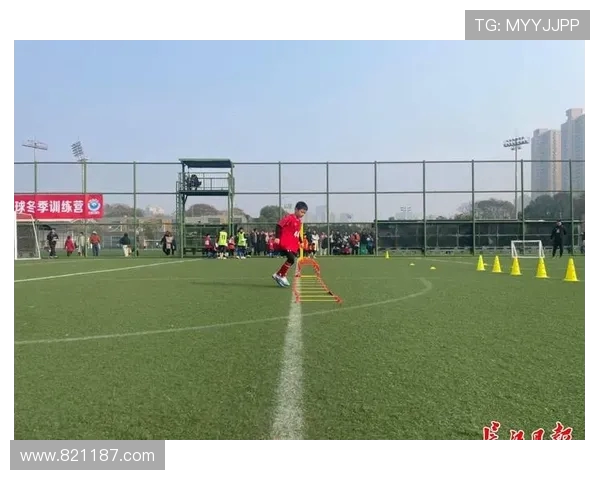 足球训练中的灵活性与爆发力结合