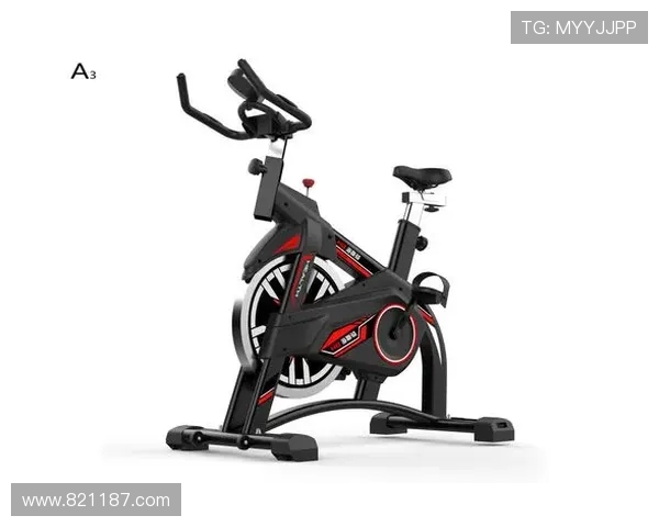 静音磁控动感单车-家用健身器材智能燃脂训练器